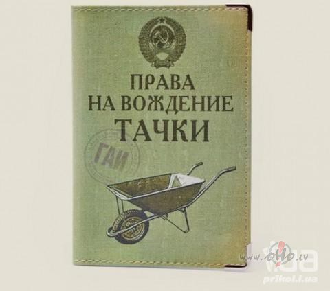 Plaani un veelmes. foto