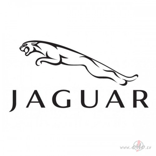 Jaguar foto attēls