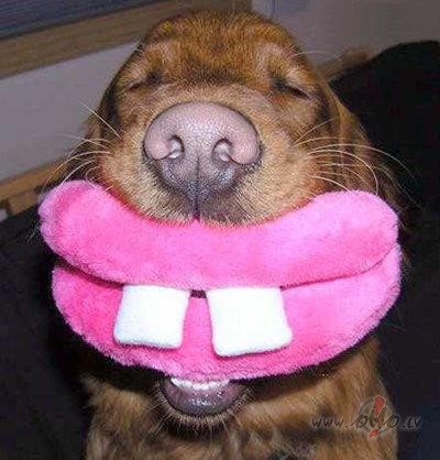 Sexī grimmase.. foto