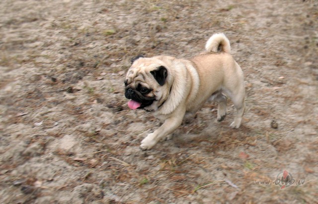 cilveks -fiziska vai gariga butne? foto