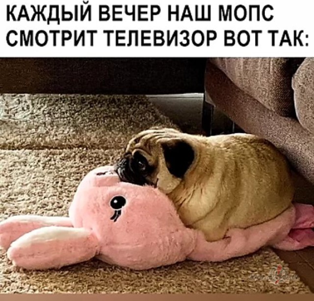 OHOistu  iecienītākie seriāli.... foto