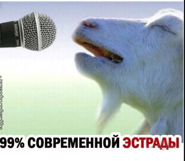 Vāju izpildītāju koncerti foto