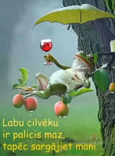 Bēgļu problēma. foto