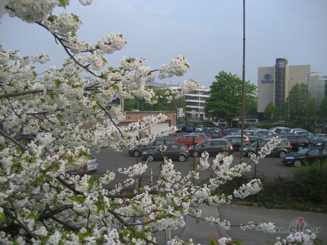 Kur un kā var pieteikties uz brīvajām vakancēm Hilton Garden Inn Latvijā? foto